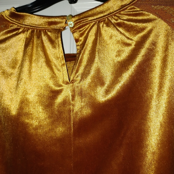 Velvet long sleeved lace sleeves.  The color is brick. - Picture 5 of 9